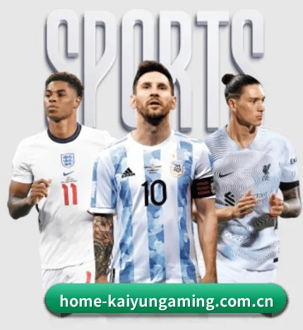 开云电竞app APP(KAIYUN ESPORTS)
